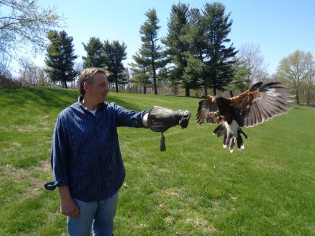 Charles Gunther with a hawk on the glove