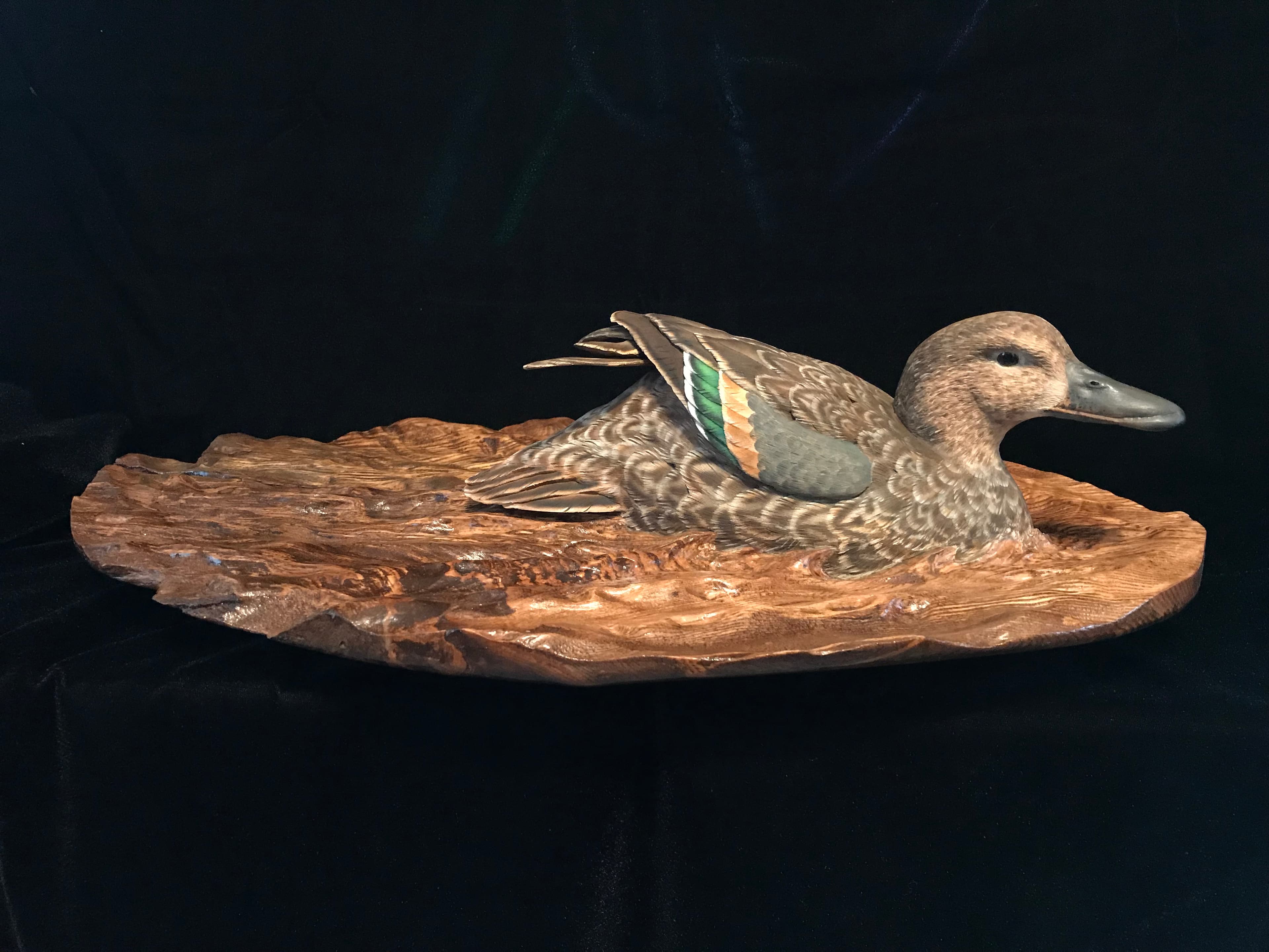 Blue-winged Teal, carved and painted by Charles Gunther